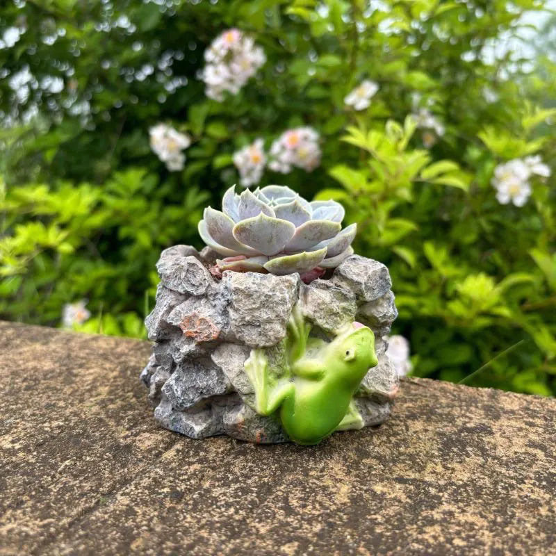 Resin Frog &amp; Turtle Succulent Planters – Courtyard Style Desktop Garden Decor for Daily Outdoor/Indoor Accent